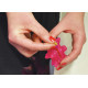 Crazy Urchin Toy – Stimulating Toy for Dogs, Cats & Small Pets